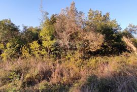 ISTRA, MEDULIN - Prostrano građevinsko zemljište!, Medulin, Land