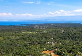 LOŠINJ, MALI LOŠINJ - Maslinik 400 metara od mora, Mali Lošinj, Terreno