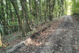 Zemljište s ogromnim potencijalom, Bednja, Land