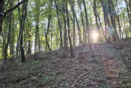 Zemljište s ogromnim potencijalom, Bednja, Land