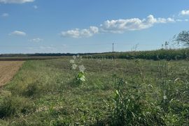 Građevinsko zemljište tik do autoceste, Farkaševac, Terrain