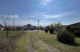 Slavonski Brod, House