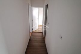 Rakovica - Skojevsko naselje - 2.5 ID#19486, Rakovica, Flat