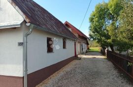 DVIJE KUĆA GOSPODARSKO IMANJE LIČKI NOVI, Gospić - Okolica, House