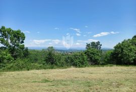 Poreč, okolica, zemljište s plaćenim komunalijama i građevinskom dozvolom, Poreč, Terrain