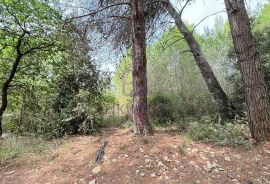 Građevinsko zemljište između Medulina i Ližnjana, Medulin, Land