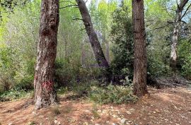 Građevinsko zemljište između Medulina i Ližnjana, Medulin, Terreno