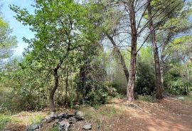 Građevinsko zemljište između Medulina i Ližnjana, Medulin, Land