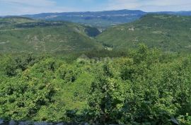 ISTRA,BUZET(OKOLICA)-Simpatična kamena kuća s predivnim pogledom, Buzet, Maison