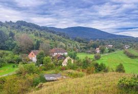 KARLOVAC, OKOLICA PLAŠKOG – Zgrada s velikom okućnicom u T3 zoni, idealna za turistički razvoj i OPG, Plaški, House