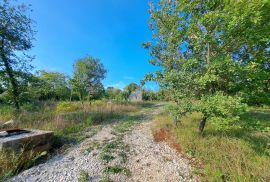 ISTRA, GROŽNJAN, OKOLICA – Prekrasna ruševina na prostranom građevinskom zemljištu., Oprtalj, House