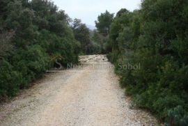 Cres, Punta Križa - Poljoprivredno, 65038 M2, Mali Lošinj, Terrain