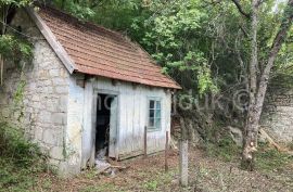 Lika Jezerane kamena kuća 98 m2 + okućnica, Brinje, House