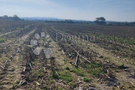 Zemljište u Brezju, Varaždin, Terreno