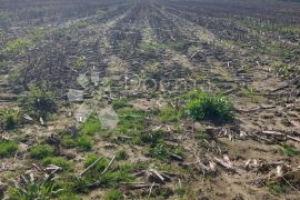 Zemljište u Brezju, Varaždin, Terreno