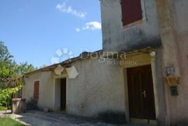 Šarmantna starina velikog potencijala - Barban, Barban, House