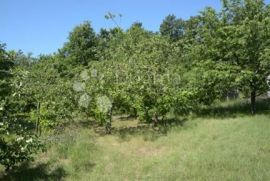 Šarmantna starina velikog potencijala - Barban, Barban, House