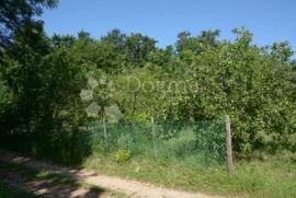 Šarmantna starina velikog potencijala - Barban, Barban, Kuća