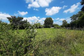 LIJEPA GRAĐEVINSKA PARCELA U SRCU ISTRE, Svetvinčenat, Land