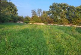 Građevinsko zemljište na mirnoj lokaciji, Svetvinčenat, Svetvinčenat, Land