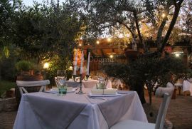 Novigrad, restoran i smještaj u miru koji tražite, Novigrad, Коммерческая недвижимость