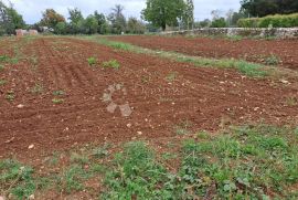 Dvije prekrasne građevinske parcele - Sveti Petar u Šumi, Sveti Petar U Šumi, Land