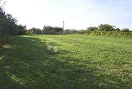 Poljoprivredno zemljište, Barban, Terreno