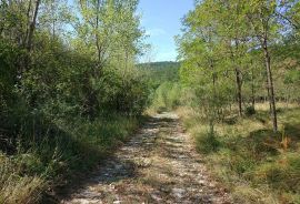 Prostrano zemljište ugostiteljsko-turističke namjene, Kršan, Arazi