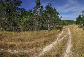 Prostrano zemljište ugostiteljsko-turističke namjene, Kršan, Terreno