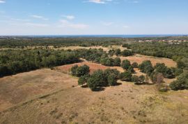 Veliko poljoprivredno zemljište s legalnom kućicom, Kaštelir-Labinci, Земля