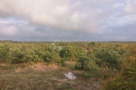 Poljoprivredno zemljište okolica Vodnjana, Vodnjan, Arazi