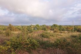 Poljoprivredno zemljište okolica Vodnjana, Vodnjan, Tierra