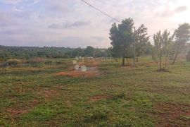 Poljoprivredno zemljište okolica Vodnjana, Vodnjan, Tierra