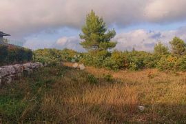 Poljoprivredno zemljište okolica Vodnjana, Vodnjan, Land