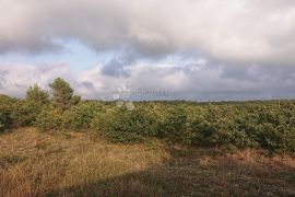 Poljoprivredno zemljište okolica Vodnjana, Vodnjan, Land