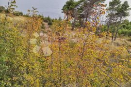 GRAĐEVNO ZEMLJIŠTE, STANIĆI, Omiš, Terreno