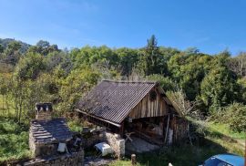 ISTRA, PAZIN - Kuća za adaptaciju na prostranom zemljištu, Pazin - Okolica, House