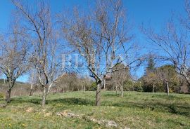 Borut, Cerovlje - Građevinsko zemljište, Cerovlje, Land