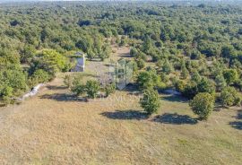 Vodnjan, okolica predivna Stancija na prodaju, Vodnjan, Land