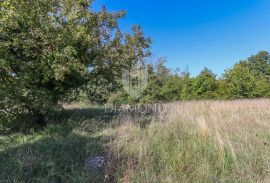 Žminj, okolica, kuća na prostranoj okućnici na osami, Žminj, Maison