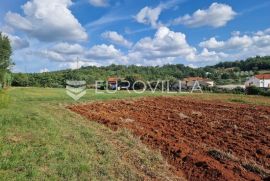 Istra, Vižinada prostrano građevinsko zemljište s otvorenim pogledom, Vižinada, Terrain