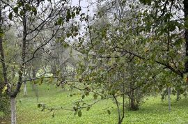 OTOČAC - Kuća s prostranom okućnicom i 2 gradilišta, Otočac, Kuća