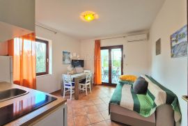 Kuća s 8 apartmana spremna za turistički najam, Starigrad, House