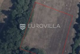 Marčana, Prodol - prostrana poljoprivredna parcela nedaleko od glavne prometnice 10054 m2, Marčana, أرض
