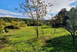 Imanje sa starinom za adaptaciju na mirnoj lokaciji na uzvisini sa odličnim pogledom, Gračišće, Istra, Gračišće, Famiglia