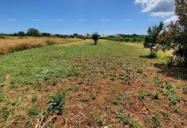 Građevinsko zemljište Prodaja građevinskog zemljišta, Muntić, Ližnjan, Terreno