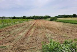 Građevinsko zemljište Prodaja građevinskog zemljišta, Muntić, Ližnjan, Tierra