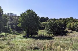 Svetvinčenat okolica, kompleks građevinog i poljoprivrednog zemljišta, Svetvinčenat, Arazi