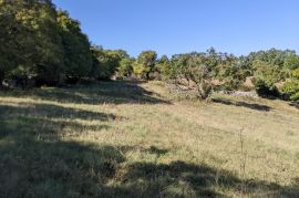 Svetvinčenat okolica, kompleks građevinog i poljoprivrednog zemljišta, Svetvinčenat, Terrain