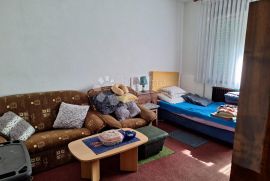 KUĆA PALINOVEC I 8373 M2 ZEMLJIŠTA, Donji Kraljevec, House